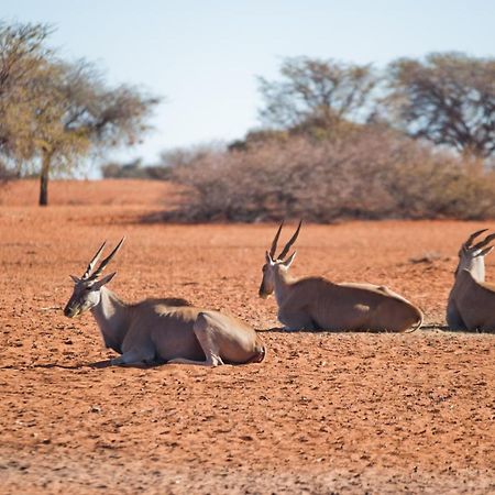 Kalahari Anib Campsite Hardap Экстерьер фото
