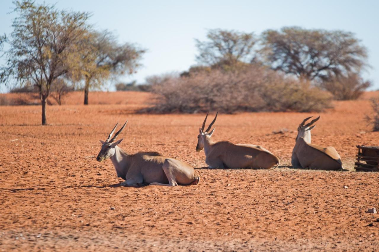 Kalahari Anib Campsite Hardap Экстерьер фото